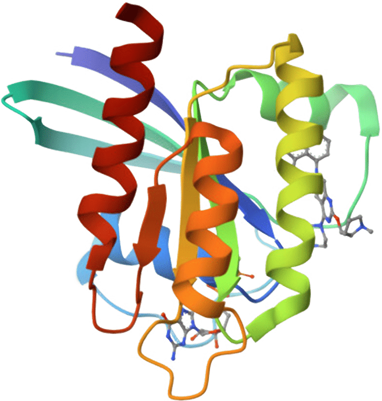 MOLECULE PIC KRAS G12D copy 2